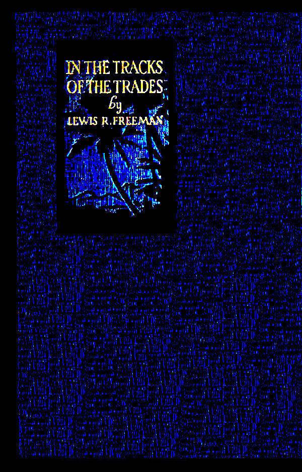 In the Tracks of the Trades: The Account of a Fourteen Thousand Mile Yachting Cruise to the Hawaiis, Marquesas, Societies, Samoas and Fijis